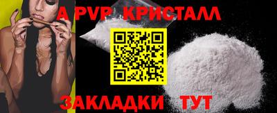 спиды Славгород