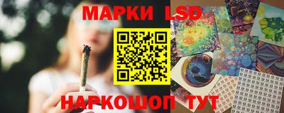 спиды Славгород