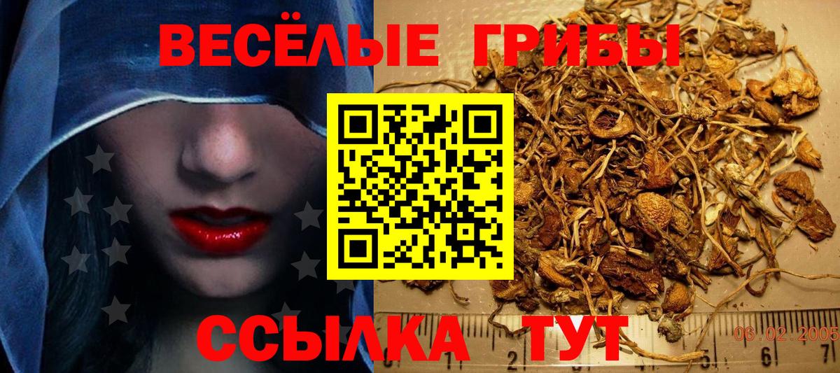 Псилоцибиновые грибы Magic Shrooms Рузаевка